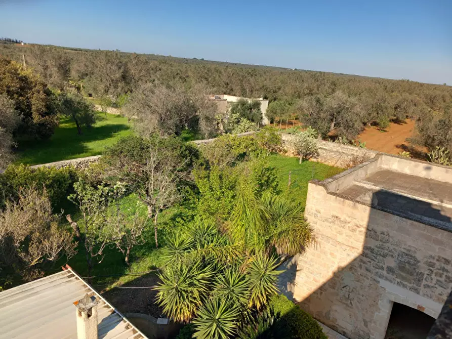 Immagine 39 di Rustico / casale in vendita  in C.da Mogavero a Francavilla Fontana