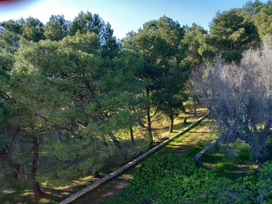 Immagine 40 di Rustico / casale in vendita  in C.da Mogavero a Francavilla Fontana