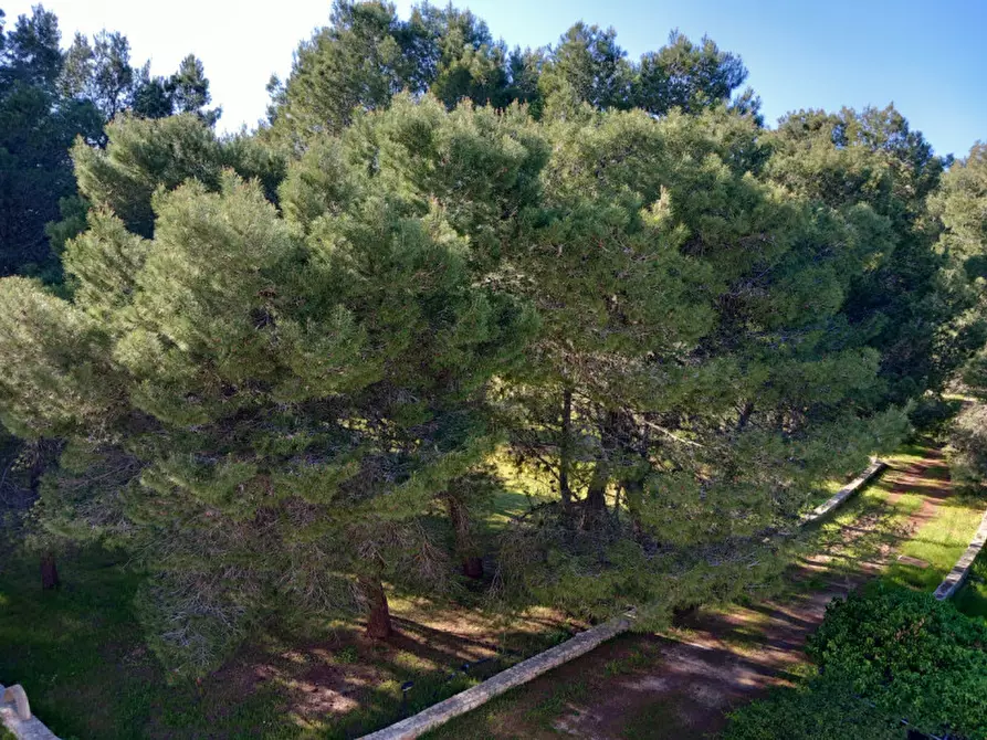 Immagine 41 di Rustico / casale in vendita  in C.da Mogavero a Francavilla Fontana