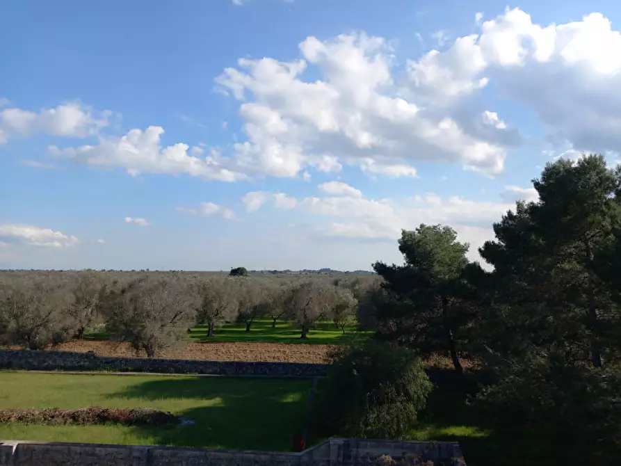 Immagine 42 di Rustico / casale in vendita  in C.da Mogavero a Francavilla Fontana