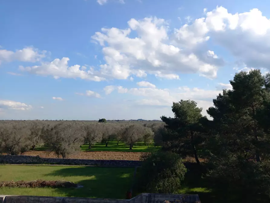 Immagine 43 di Rustico / casale in vendita  in C.da Mogavero a Francavilla Fontana