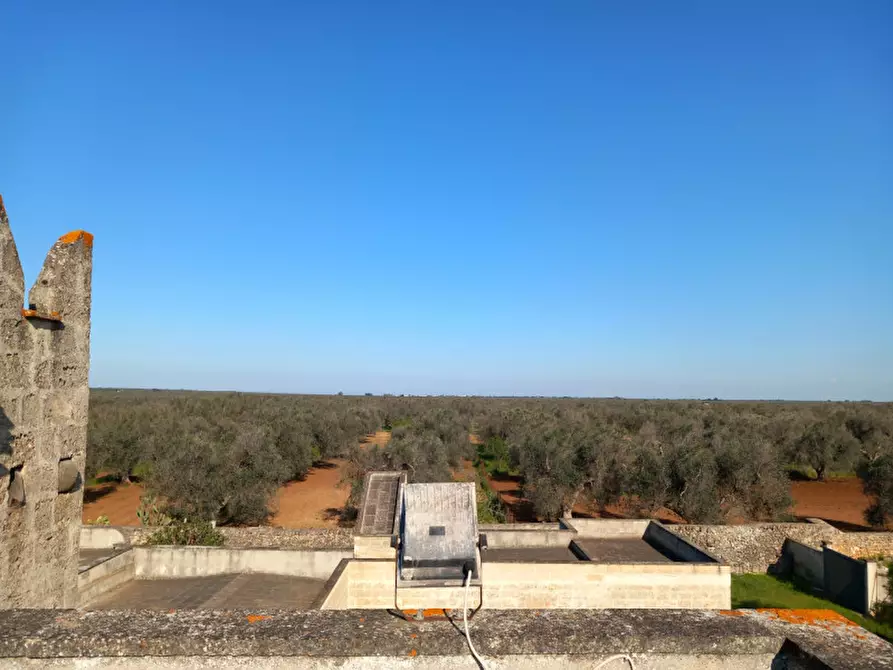 Immagine 44 di Rustico / casale in vendita  in C.da Mogavero a Francavilla Fontana