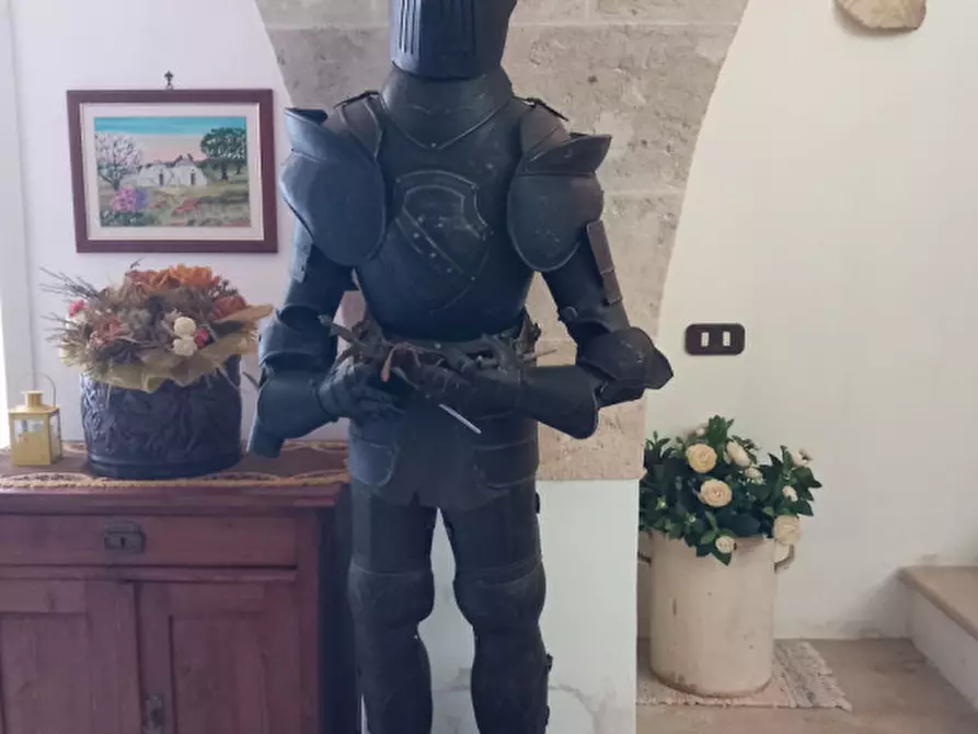 Immagine 49 di Rustico / casale in vendita  in C.da Mogavero a Francavilla Fontana