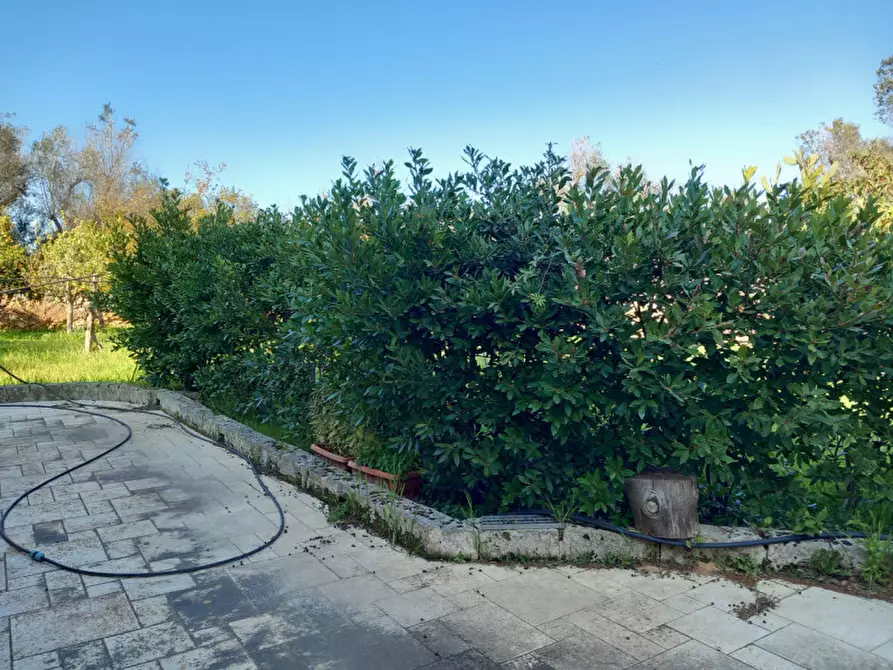 Immagine 62 di Rustico / casale in vendita  in C.da Mogavero a Francavilla Fontana