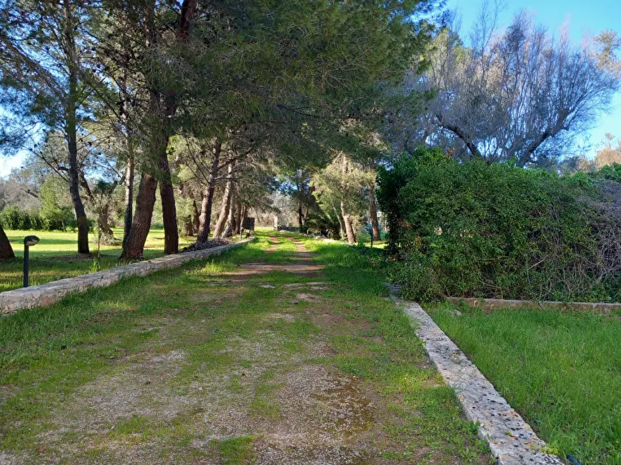 Immagine 85 di Rustico / casale in vendita  in C.da Mogavero a Francavilla Fontana