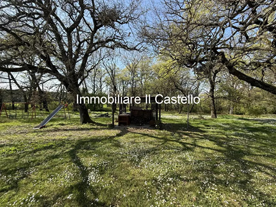 Immagine 28 di Agriturismo in vendita  a Castiglione Del Lago