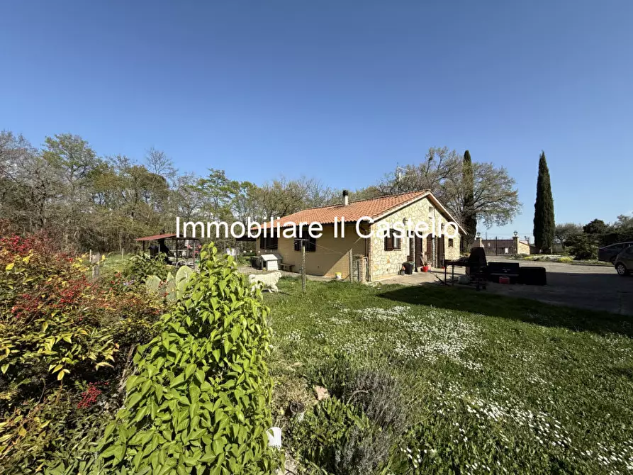 Immagine 65 di Agriturismo in vendita  a Castiglione Del Lago