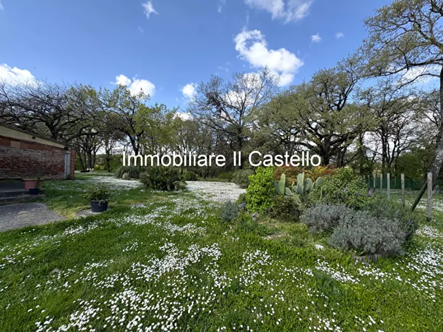 Immagine 67 di Agriturismo in vendita  a Castiglione Del Lago