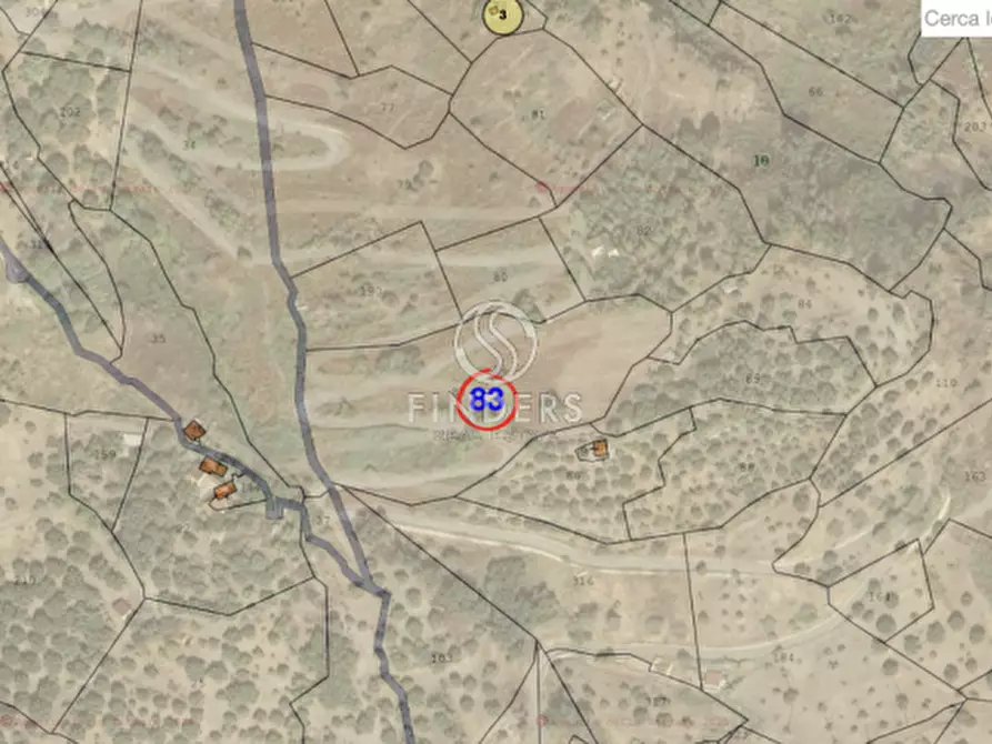 Immagine 1 di Terreno in vendita  a San Lorenzo