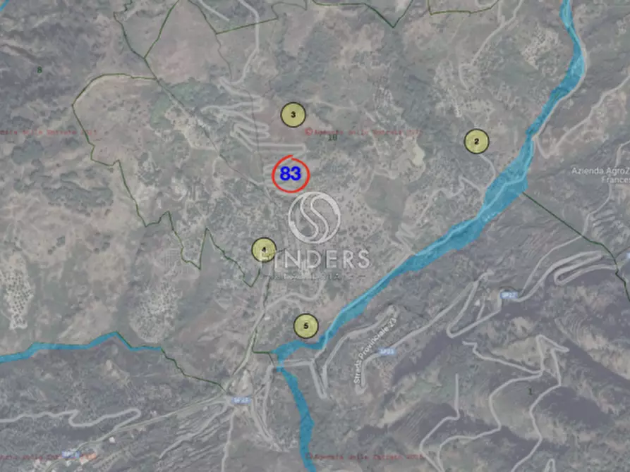 Immagine 2 di Terreno in vendita  a San Lorenzo