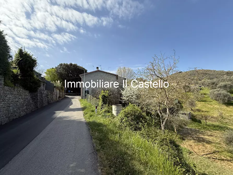 Immagine 9 di Rustico / casale in vendita  a Piegaro