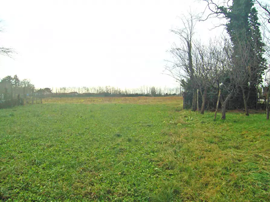 Immagine 1 di Terreno in vendita  a Nervesa Della Battaglia