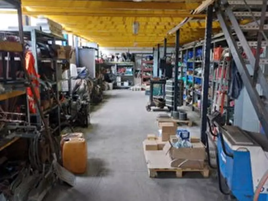 Immagine 7 di Capannone industriale in vendita  in Via Pescopagano, 3 a San Vito Al Tagliamento