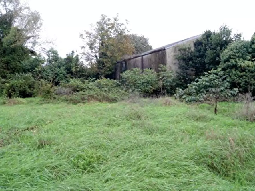 Immagine 4 di Casa indipendente in vendita  in Vicolo San Martino a Aviano