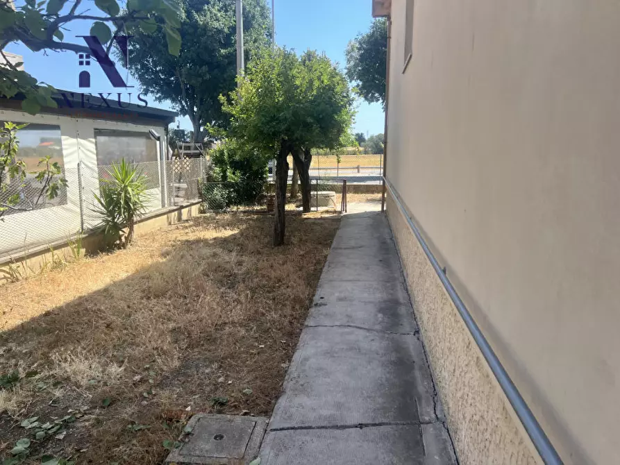 Immagine 5 di Casa indipendente in vendita  a Fano