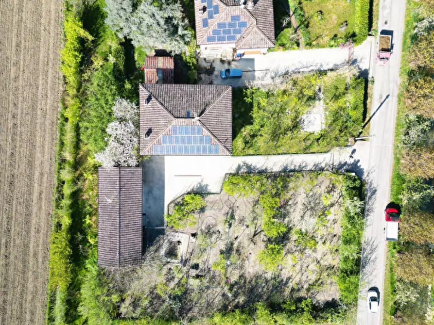 Immagine 4 di Appartamento in vendita  a Cortemaggiore