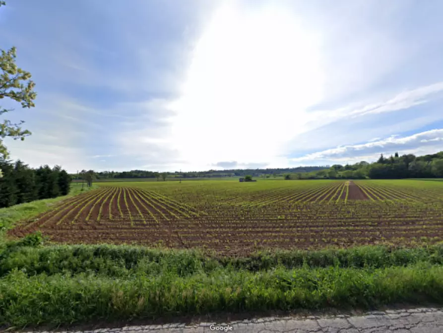 Immagine 2 di Terreno in vendita  in Strada Cavallara a Cavriana