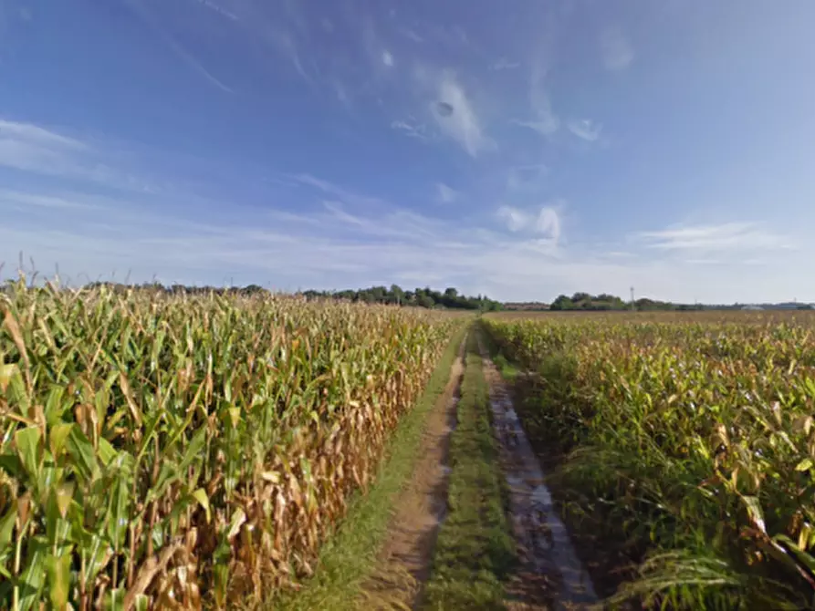 Immagine 2 di Terreno in vendita  in Strada Cavallara a Cavriana