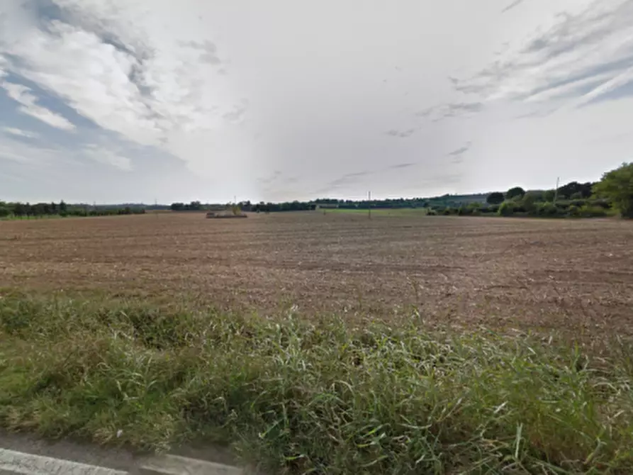 Immagine 6 di Terreno in vendita  in Strada Cavallara a Cavriana
