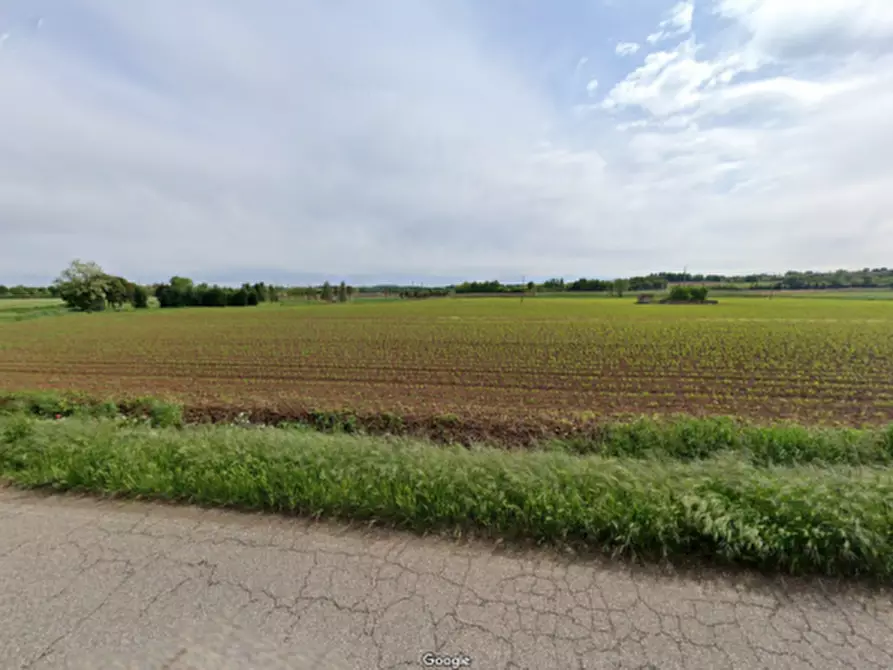 Immagine 8 di Terreno in vendita  in Strada Cavallara a Cavriana