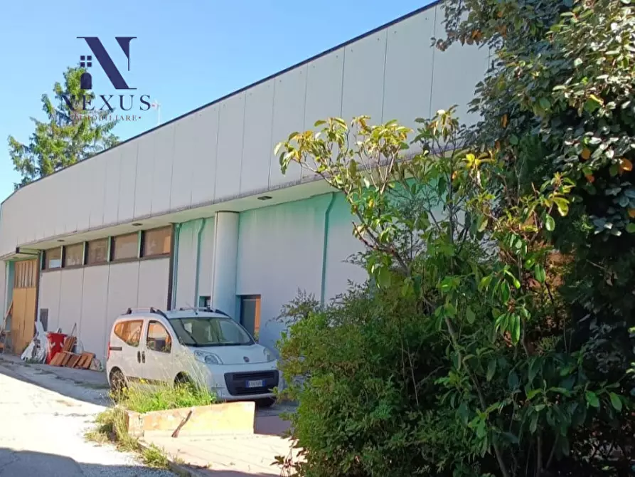 Immagine 38 di Capannone industriale in vendita  in Via VII Strada 16 a Fano