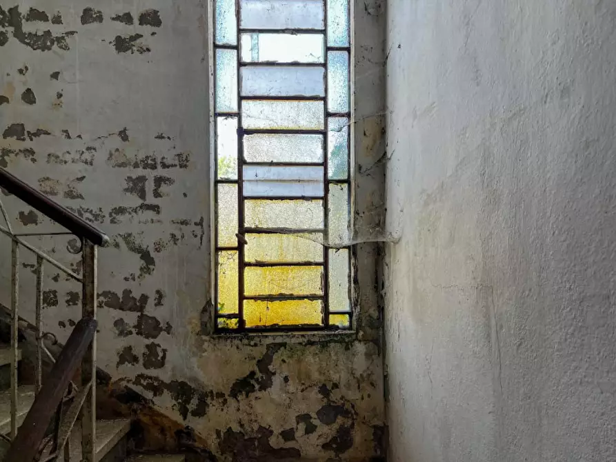 Immagine 30 di Rustico / casale in vendita  in Via Anna Frank a Solesino