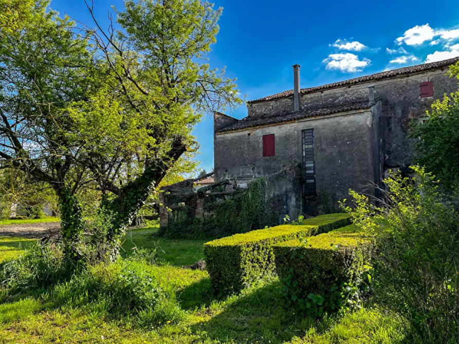 Immagine 31 di Rustico / casale in vendita  in Via Anna Frank a Solesino