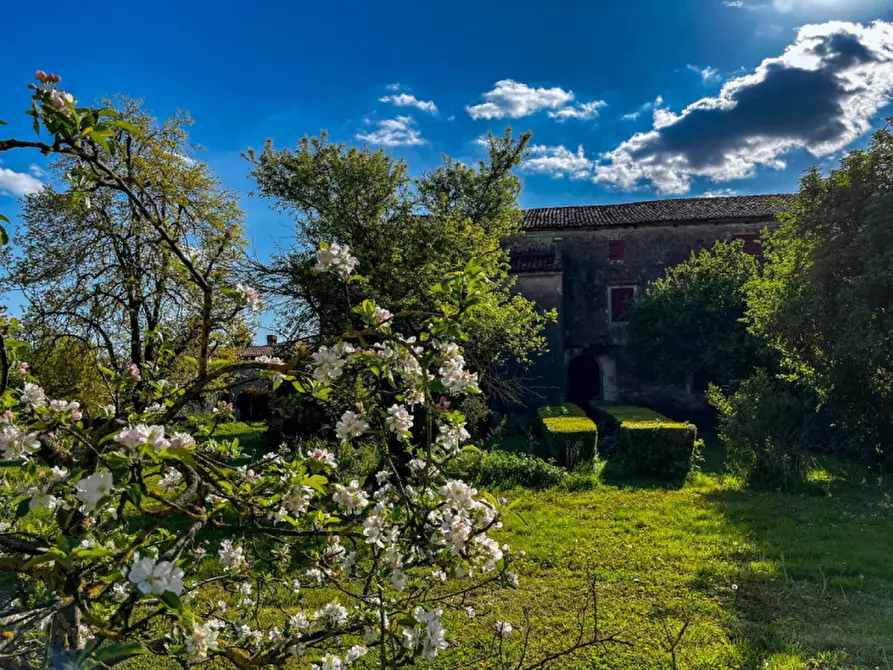 Immagine 33 di Rustico / casale in vendita  in Via Anna Frank a Solesino