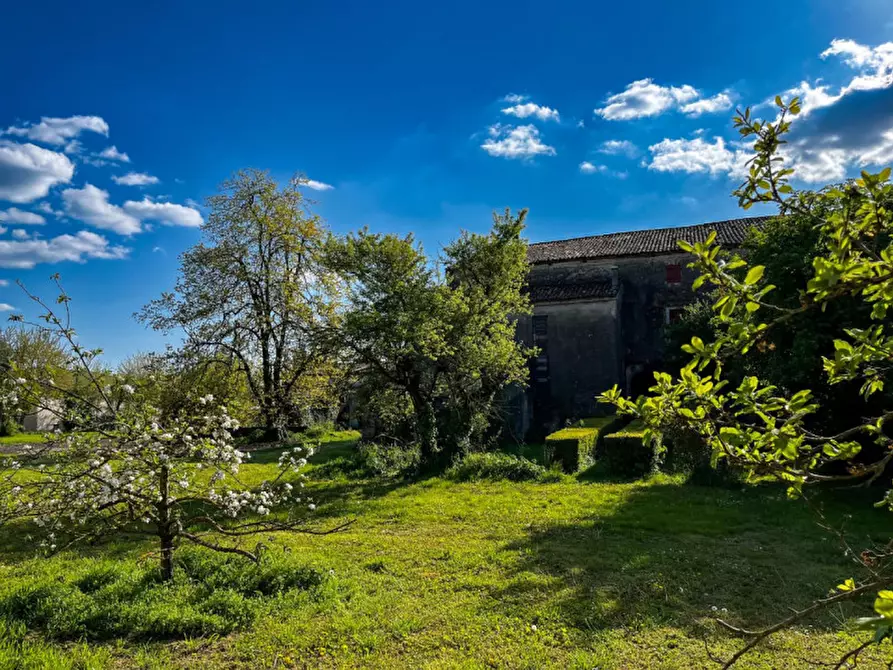 Immagine 34 di Rustico / casale in vendita  in Via Anna Frank a Solesino