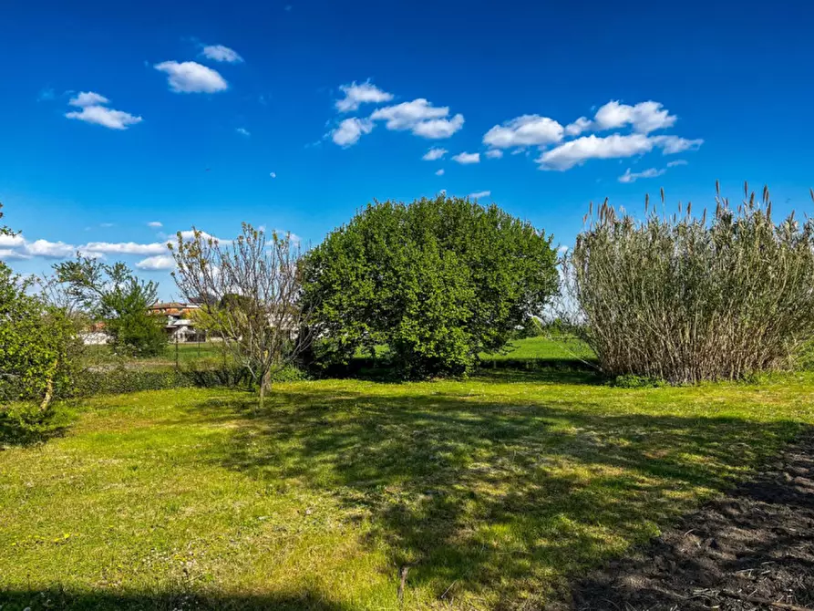 Immagine 36 di Rustico / casale in vendita  in Via Anna Frank a Solesino