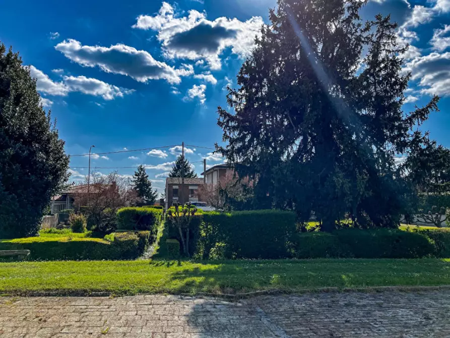 Immagine 37 di Rustico / casale in vendita  in Via Anna Frank a Solesino