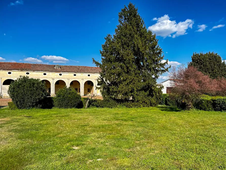 Immagine 38 di Rustico / casale in vendita  in Via Anna Frank a Solesino