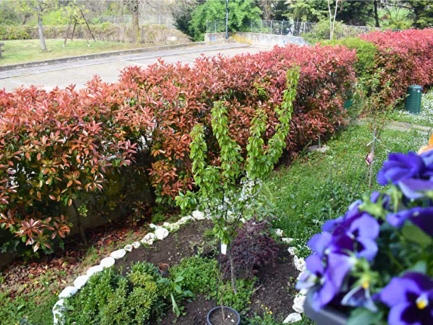 Immagine 31 di Appartamento in vendita  in Via Padre E. Balducci 6 collecchio a Collecchio