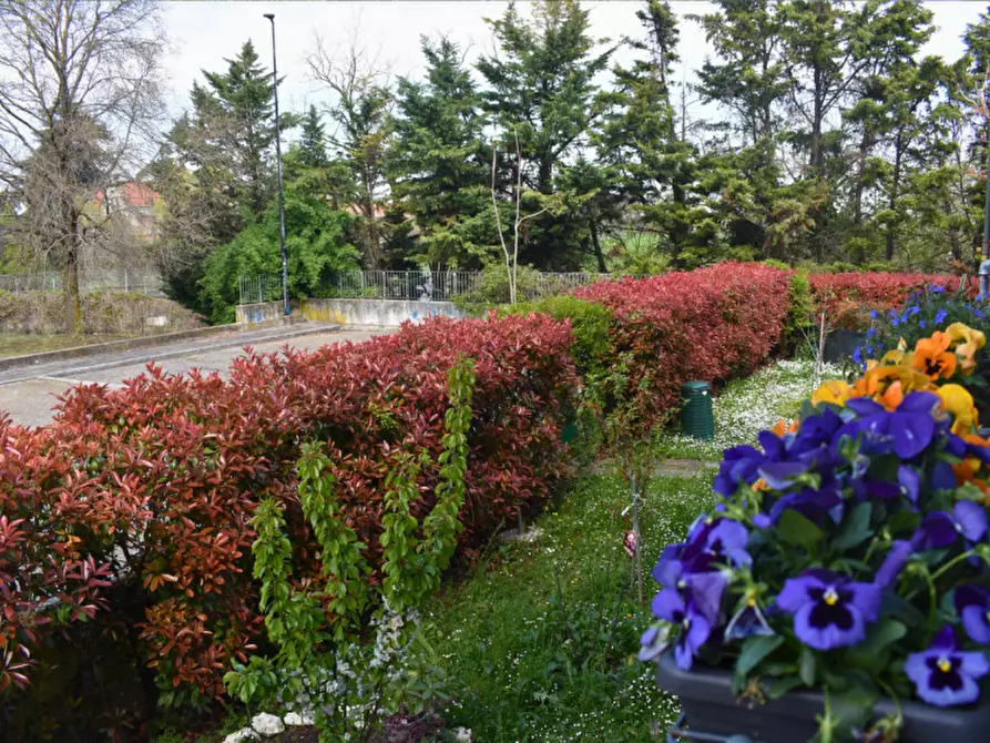 Immagine 32 di Appartamento in vendita  in Via Padre E. Balducci 6 collecchio a Collecchio