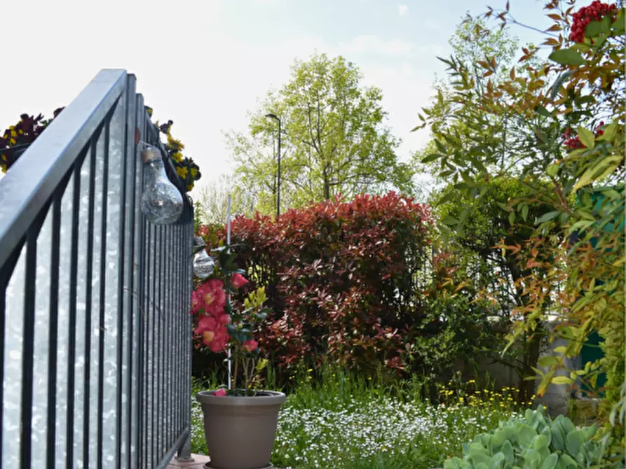 Immagine 53 di Appartamento in vendita  in Via Padre E. Balducci 6 collecchio a Collecchio