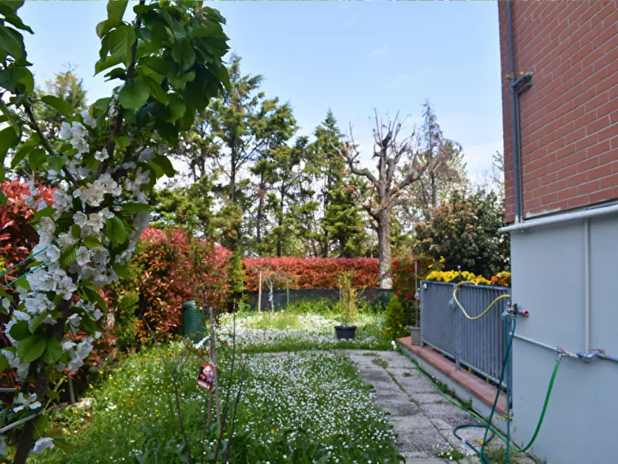 Immagine 58 di Appartamento in vendita  in Via Padre E. Balducci 6 collecchio a Collecchio