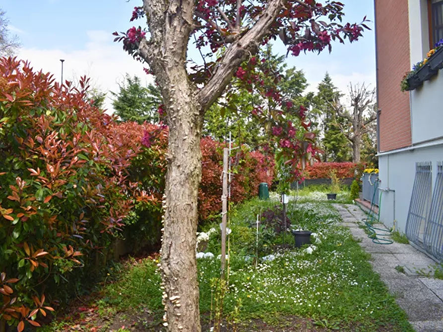 Immagine 60 di Appartamento in vendita  in Via Padre E. Balducci 6 collecchio a Collecchio