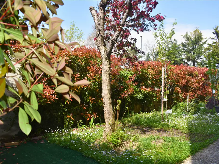 Immagine 62 di Appartamento in vendita  in Via Padre E. Balducci 6 collecchio a Collecchio