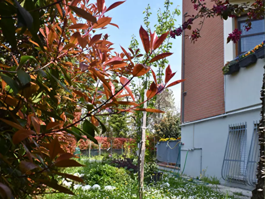 Immagine 63 di Appartamento in vendita  in Via Padre E. Balducci 6 collecchio a Collecchio