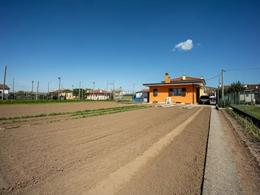 Immagine 3 di Casa indipendente in vendita  in Via Sule a Cologna Veneta