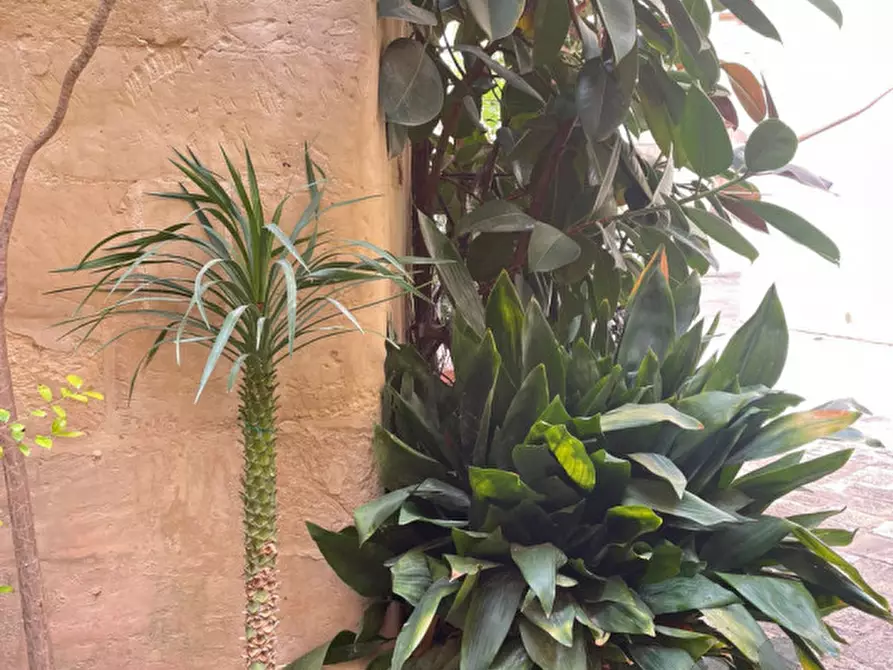 Immagine 9 di Appartamento in vendita  in Corte dei Miali a Lecce