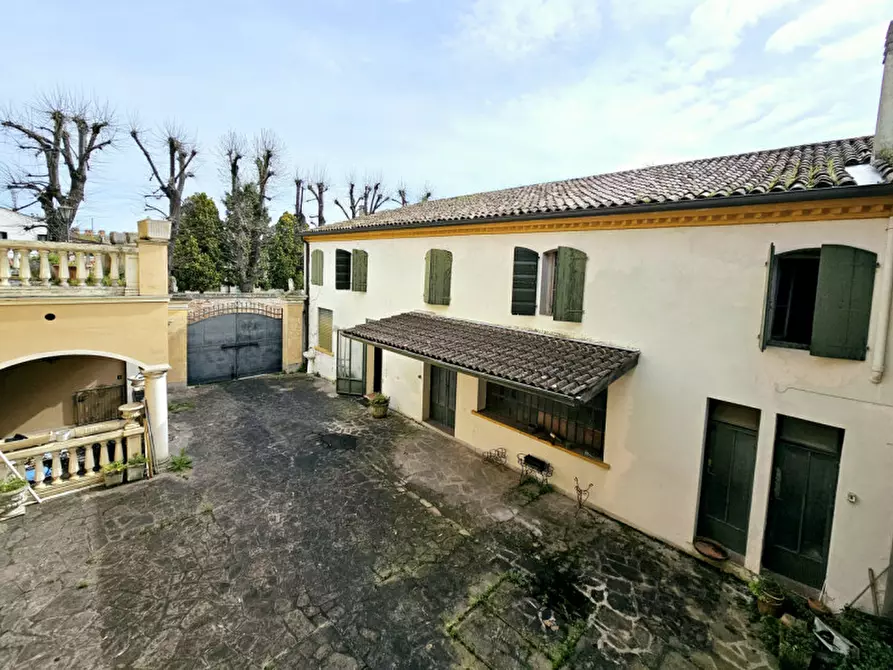 Immagine 20 di Palazzo in vendita  in VIA NAZARIO SAURO a Montagnana