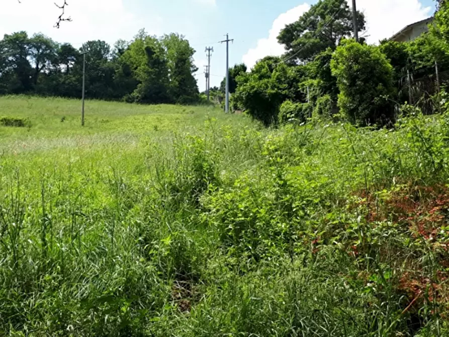 Immagine 2 di Terreno in vendita  in Via Sacco a Arcugnano