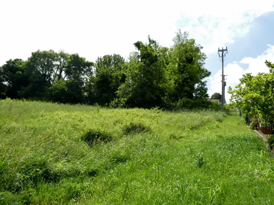 Immagine 4 di Terreno in vendita  in Via Sacco a Arcugnano