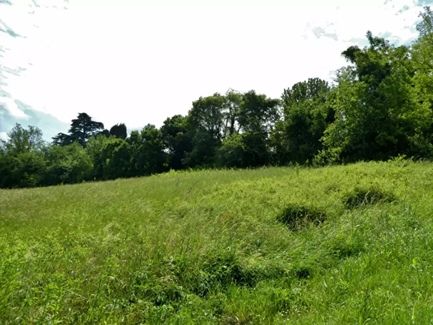 Immagine 5 di Terreno in vendita  in Via Sacco a Arcugnano