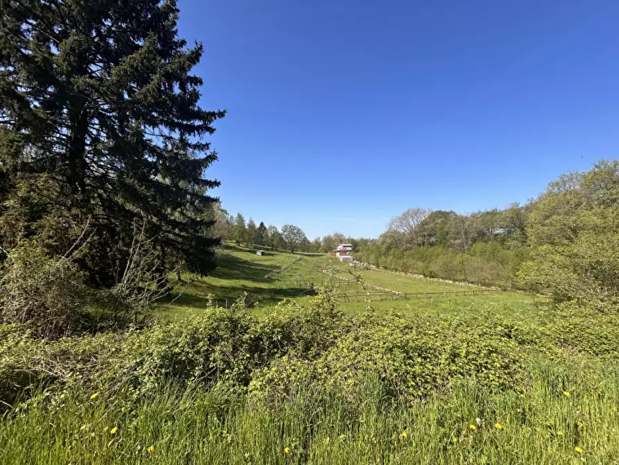 Immagine 2 di Terreno in vendita  a Grezzana