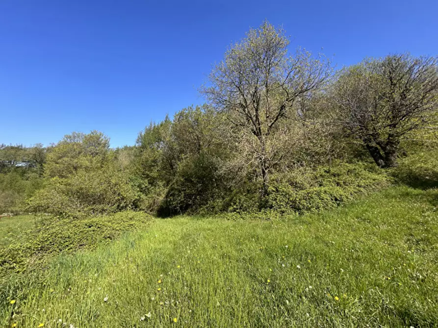 Immagine 3 di Terreno in vendita  a Grezzana