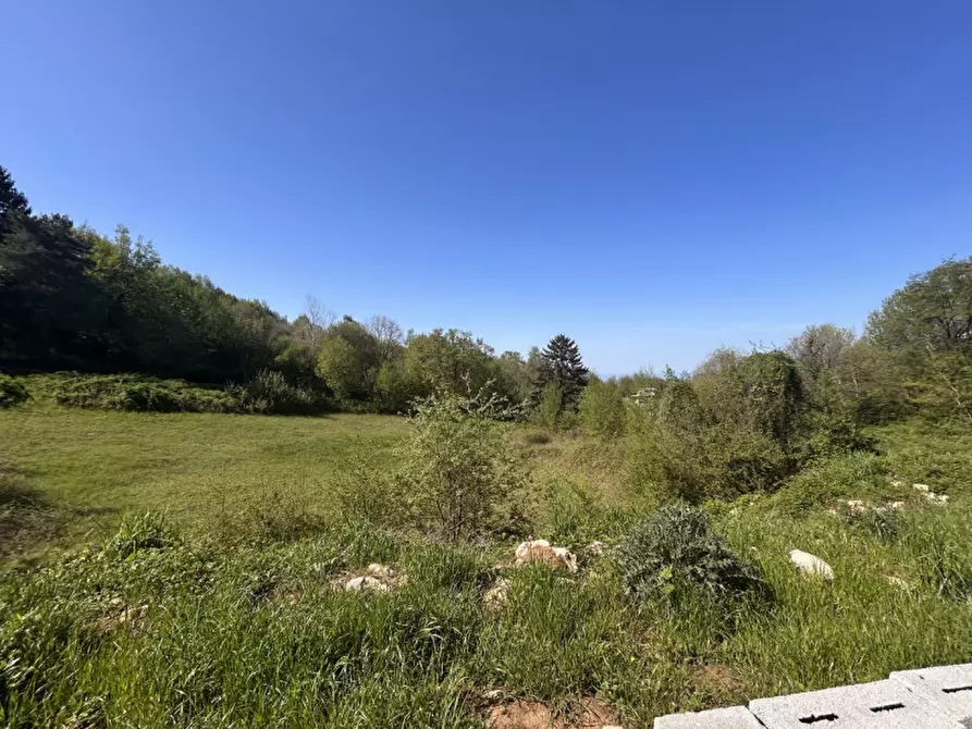 Immagine 4 di Terreno in vendita  a Grezzana