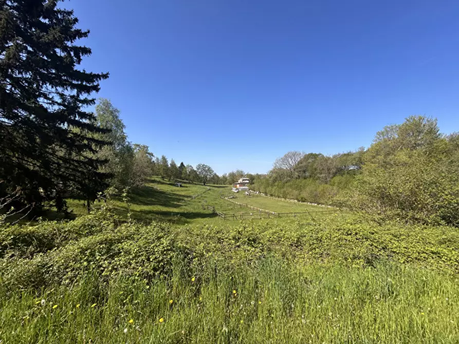 Immagine 13 di Terreno in vendita  a Grezzana