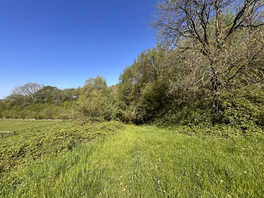 Immagine 14 di Terreno in vendita  a Grezzana